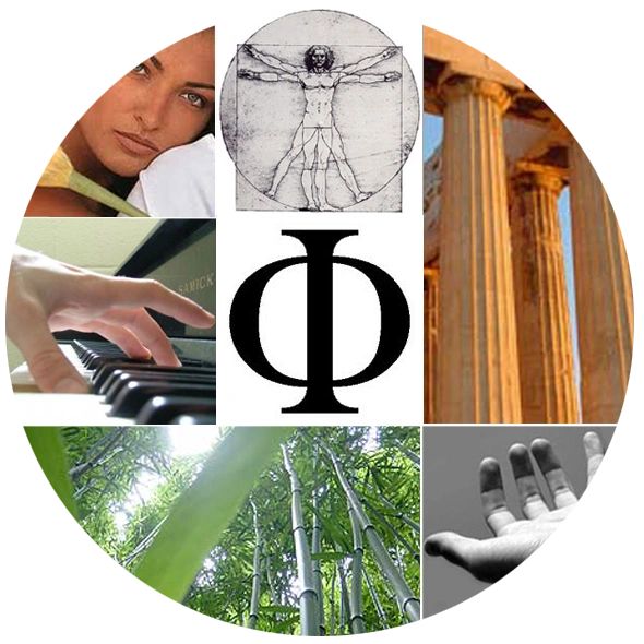 PHI Logo Collage